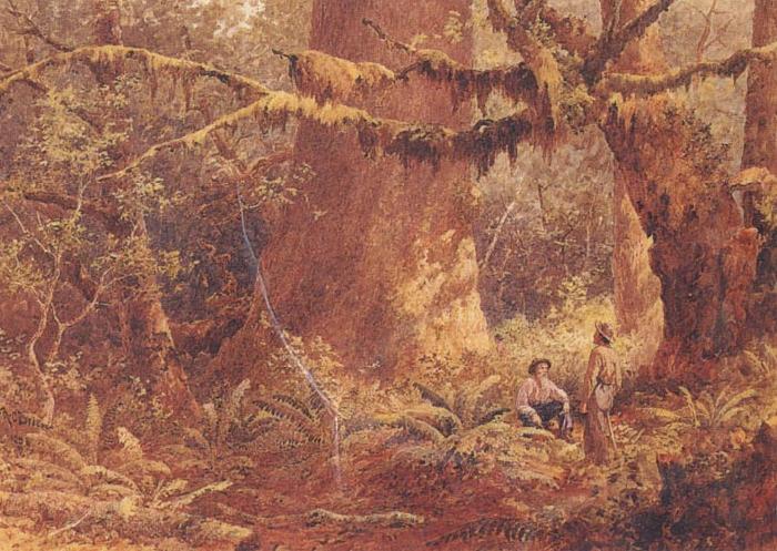 Lucius O Brien A British Columbian Forest oil painting image